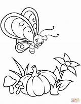 Coloring Butterfly Pages Cute Pumpkin Boy Flies Over sketch template