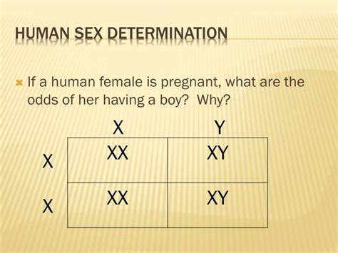 Ppt Unit 4 Genetics Powerpoint Presentation Id 2227538