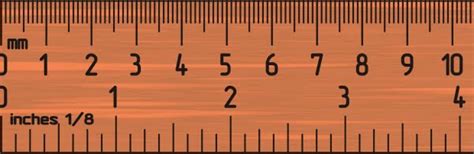 cm ruler actual size image