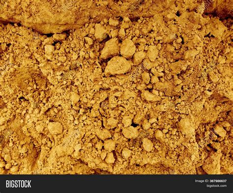 yellow sand dry soil image photo  trial bigstock