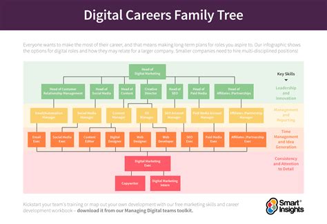 career path infographic
