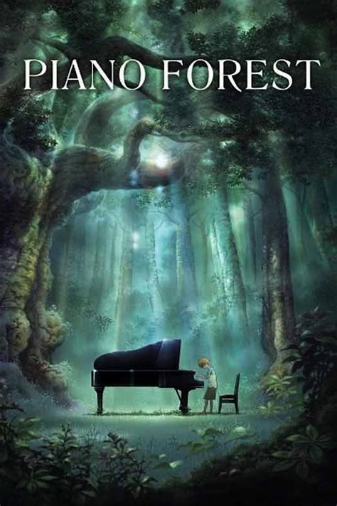 piano forest wallpapers high quality