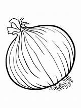 Onion Coloring Pages Colouring Vegetables Drawing Fruits Spinach Color Kids Template Soup Printable Stone Clipart Vegetable Getdrawings Getcolorings Sketch Zumba sketch template