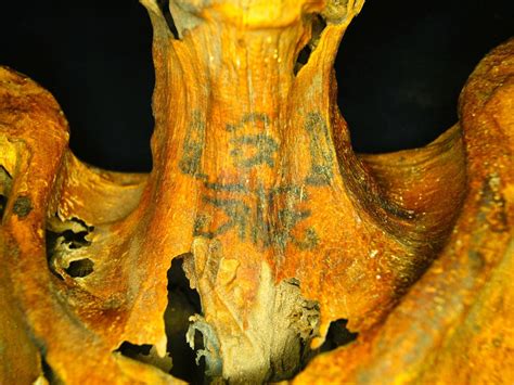 Ornately Tattooed 3 000 Year Old Mummy Discovered By