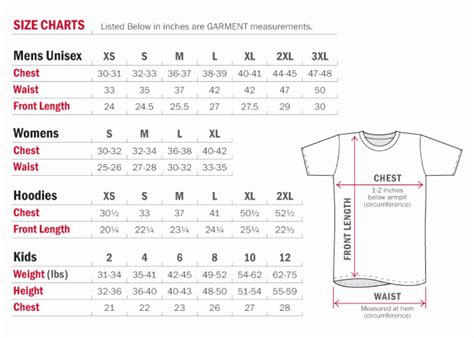clothing size chart template lovely measure  shirt sizes pie chart