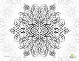 Coloring Pages Stress Relief Flower Printable Adults Delicate Getcolorings Mandala Flowers Adult Choose Board sketch template