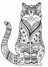 Cat Coloring Cats Pages Adult Wise Very Zentangles Drawn Nature sketch template