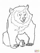 Bear Coloring Pages Asiatic Template Printable Drawing Care Sad Outline Templates Shape Animal Kids Bears Crafts Moon Colouring Color Supercoloring sketch template