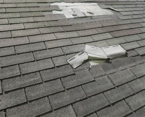 common signs  roof damage call ferris roofing