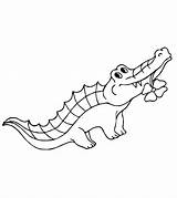 Alligator Crocodile Colorir Momjunction Cocodrilos sketch template