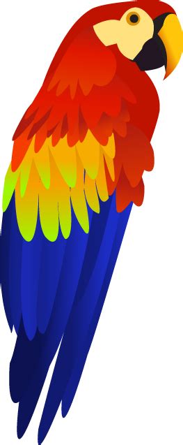 colorful parrot png images