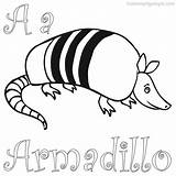 Armadillo sketch template