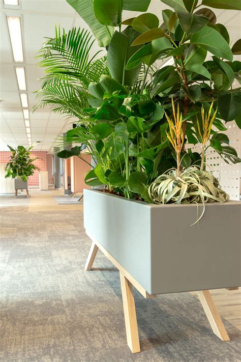 planten verhogen uw productiviteit op de werkvloer heering office