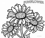 Sunflower Coloring Pages Printable Drawing Flower Adults Flowers Color Clipart Kids Sunflowers Tattoo Pdf Mandala Adult Print Realistic Sleeve Clipartmag sketch template