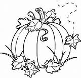 Coloring Pumpkin Pages Kids Leaves Fall Autumn Sheets Drawing Halloween Sheet Wecoloringpage Crafts Flowers sketch template