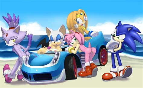 hotred amy rose blaze the cat rouge the bat sonic the hedgehog