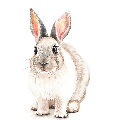 portrait  rabbit watercolor hand drawn illustration  vector art