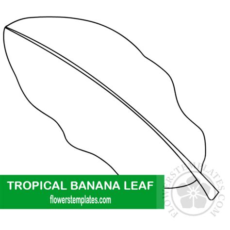 tropical banana leaf template flowers templates