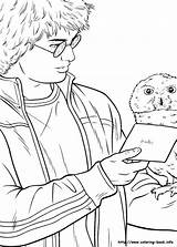 Weasley Coloring Hibou Lettre Envoyer Getcolorings Hermione Hedwig Granger sketch template
