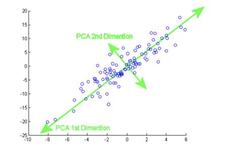 principal components analysis explained  dummies programmathically