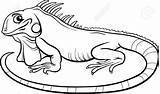 Iguana Iguanas Vinilo Livro Reptiles Izakowski Pixerstick Svg Hojas Pixers Fotomural Ilustração Ladrillo Lagarto Childrencoloring Animals sketch template