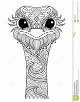 Zentangle Mandala Dieren Ostrich Sons Coloriage Avestruz Colorier sketch template