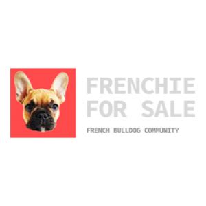 frenchie sale   channel