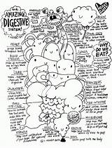 Coloring Pages Anatomy Kids Digestive System Popular sketch template