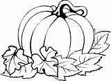 Pumpkins Clipartmag sketch template