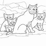 Cat Sand Kittens Coloring Mother Pages Printable sketch template