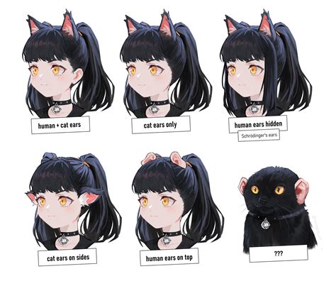 vertigris on twitter 6 types of cat girls tag yourself