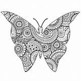 Papillon Farfalle Erwachsene Mariposas Insectos Schmetterlinge Adulti Coloriage Zentangle Insekten Malbuch Insetti Butterflies Fur Insects Insectes Adultos Paisley Animaux Ausmalbilder sketch template
