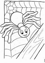 Aranhas Aranha Bruxas Imagem Dona Pintar Animais Spiders Imprima Critters sketch template