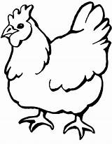 Coloring Pages Chicken Chickens Library Clipart Color sketch template