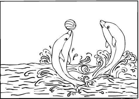 dolphin coloring pages   print