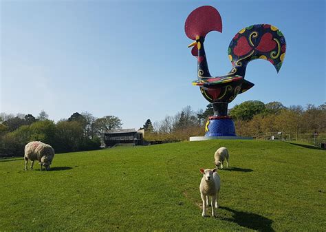 badgers  birds     empty yorkshire sculpture park wakefield express