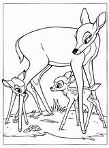 Coloring Bambi Pages Disney sketch template
