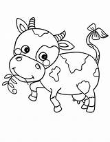 Cow Coloring Pages Cute Dairy Printable Little Cows Coloring4free Eating Baby Grass Tail Bow Kids Color Getcolorings Milking Netart Template sketch template