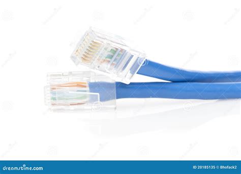 blue ethernet cable stock image image  electronic