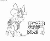 Paw Patrol Coloring Pages Tracker Choose Board Pups Kids Print sketch template