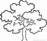Ausmalbild Baum Ausmalbilder Herbst Blatter Baume sketch template