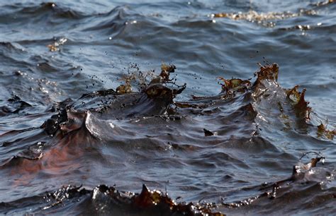 bp gulf  mexico oil spill environmental devastation  public intelligence