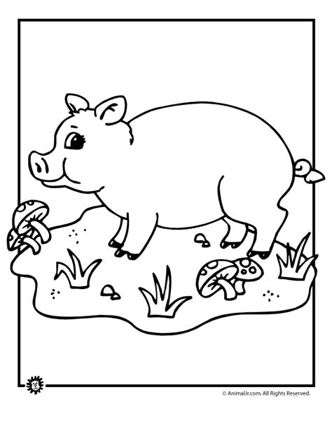 pig coloring pages woo jr kids activities