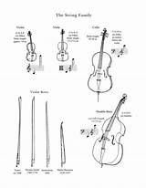 String Family Instruments Music Drawings Instrument Worksheets Orchestra Coloring Lancaster Musical Symphony Violin Kids Education Cello Class Visit Percussion Activities sketch template