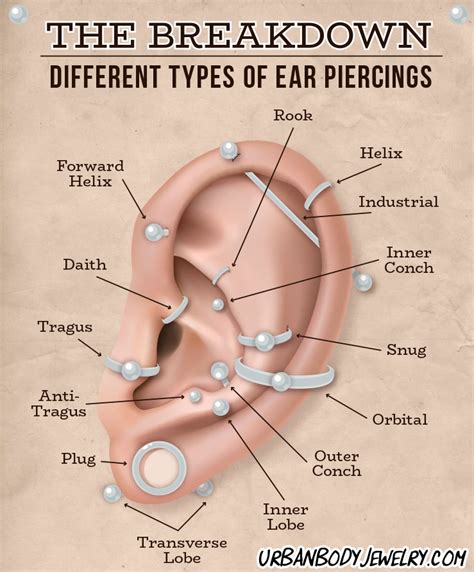 Cartilage Ear Cuff Types Of Ear Piercings Pretty Ear Piercings Ear