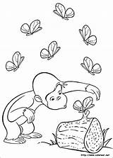 Curioso Monkey sketch template