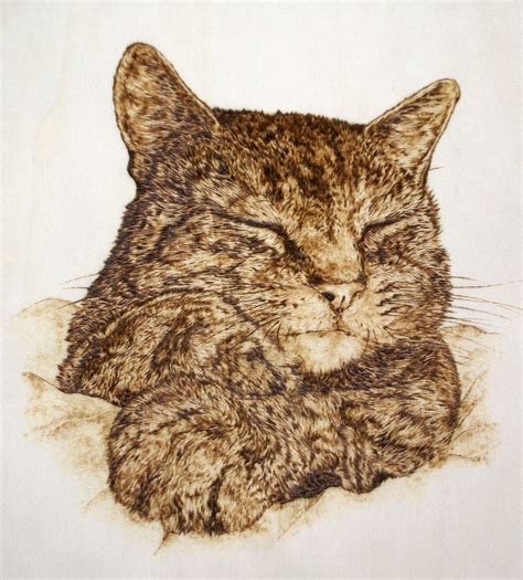 schlafende katze holz katze pyrografie brandmalerei von timber cat