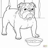 Bulldog Coloring French Pages Jack Printable Puppy Sheets Drawing Dog Bulldogs Russell Colouring Color Bull English Line Print Dogs Super sketch template