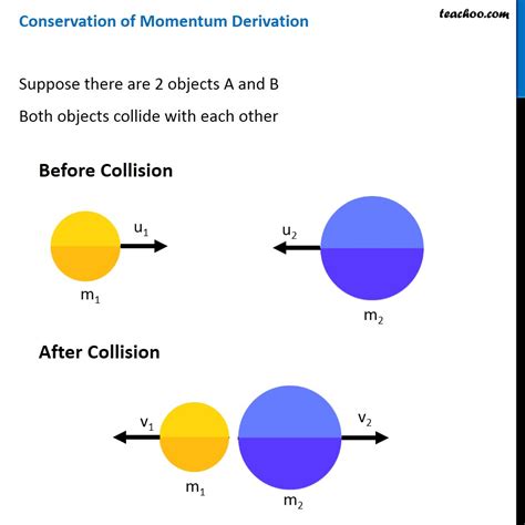 conservation  momentum explained  examples teachoo