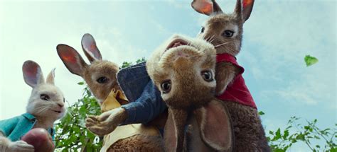 peter rabbit cast   mystery  rabbits wearing jackets collider